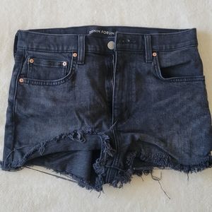 Denim Forum Romy Slim Shorty Short